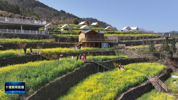 绽放消费新活力张湾区美丽经济一路生花