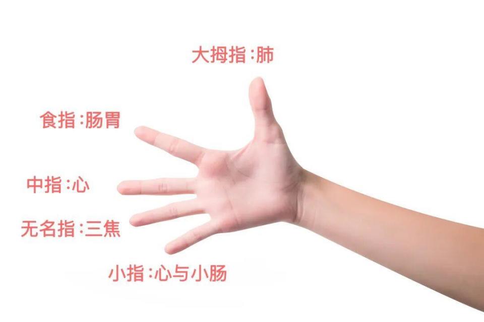 ͼƬ