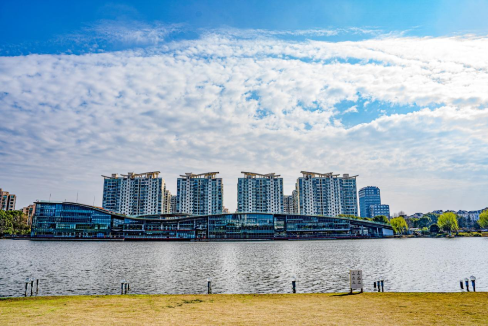 春日"沪"水游丨青浦:湖畔春色别样浓——夏阳湖_腾讯新闻