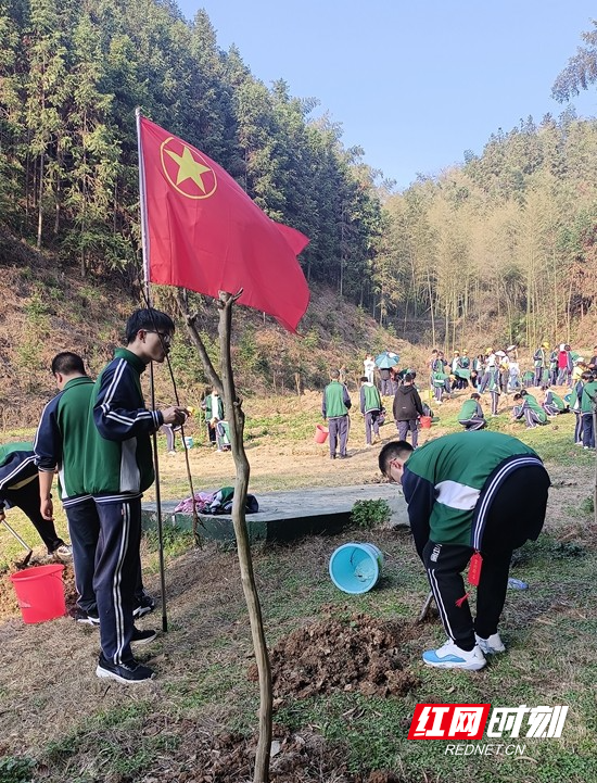 澧县一中龙氏班种下希望拥抱春天