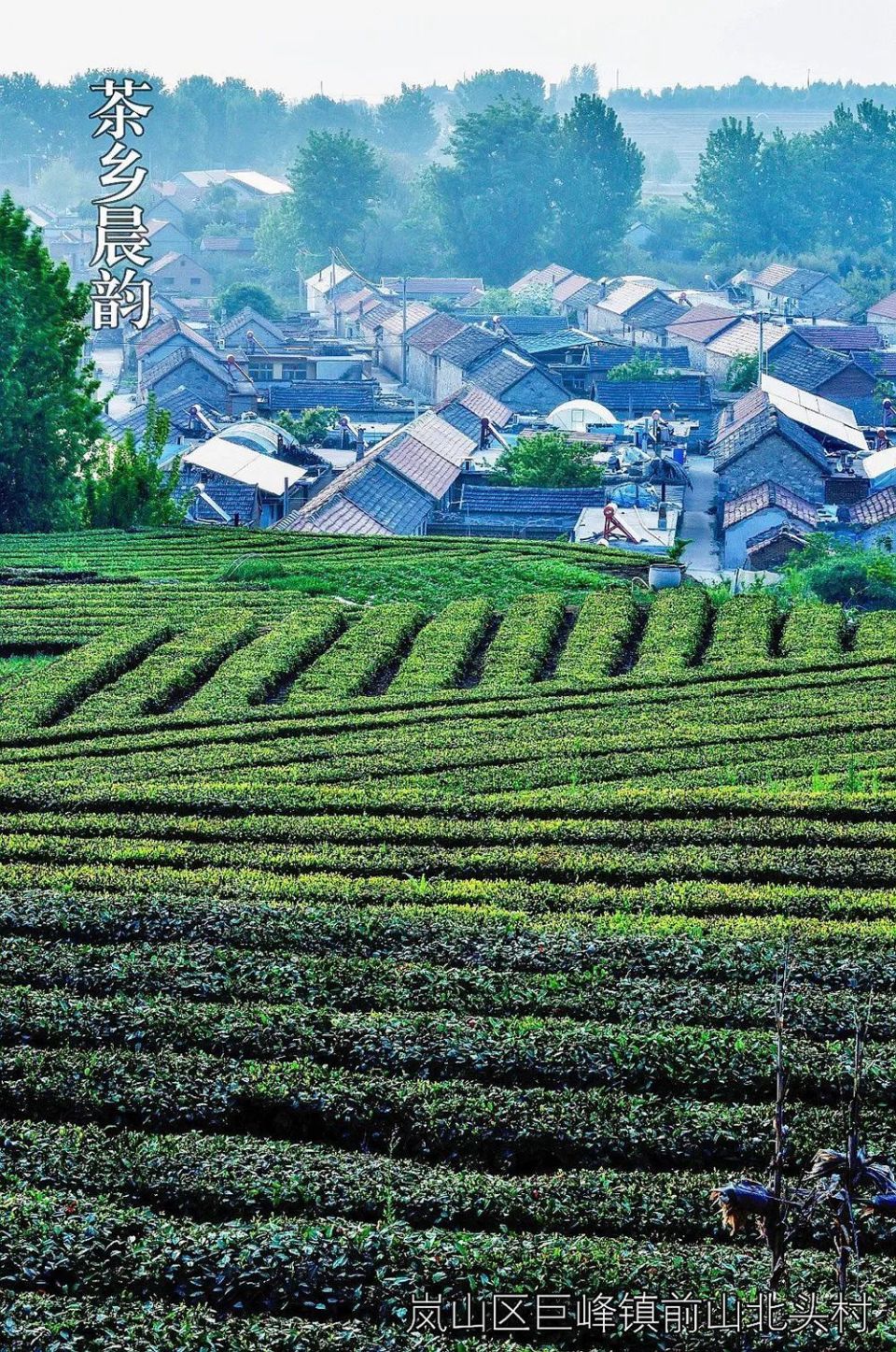 邂逅"日照美"!一大波美图来袭