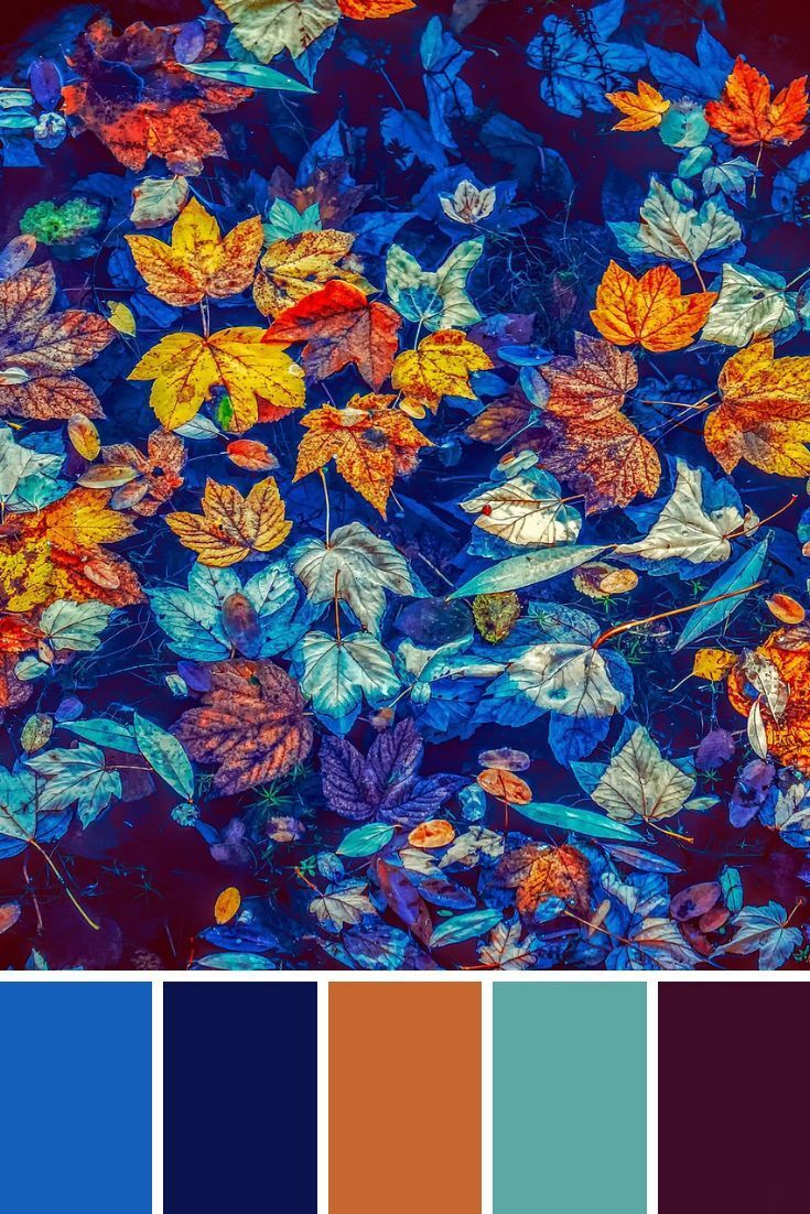 一组色彩搭配方案