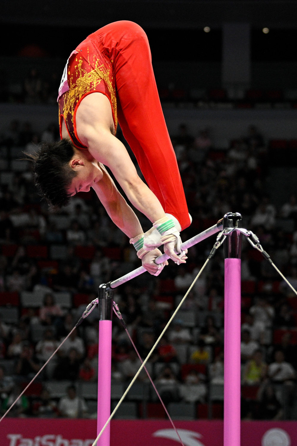 (体育)体操——全国冠军赛:单杠决赛赛况(4)_腾讯新闻