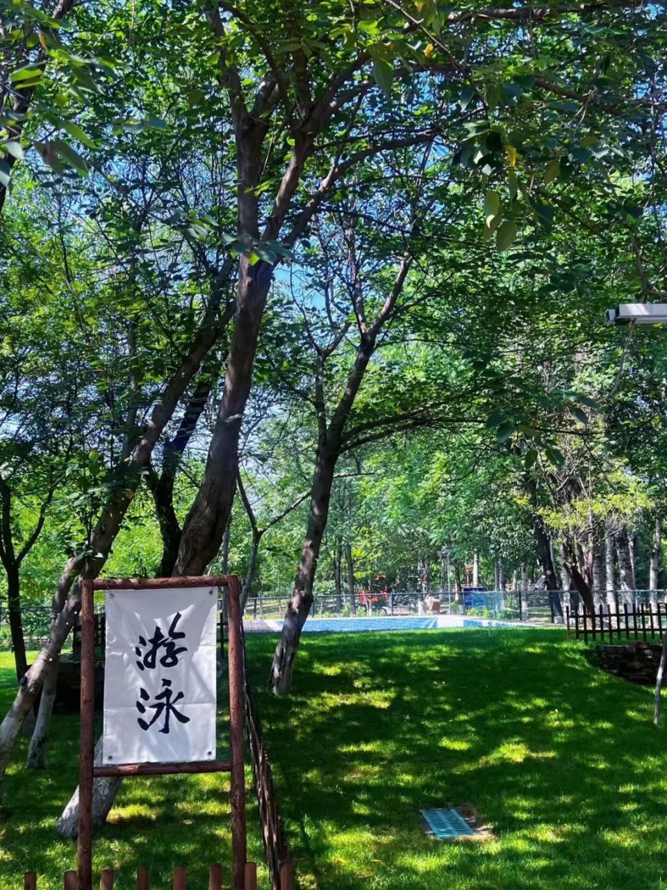 北京宠物公园图片