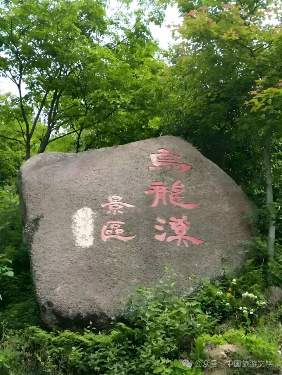 大龙山乌龙溪景区电话图片