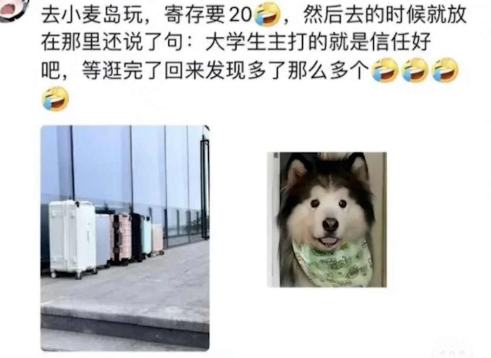2023年十大网络热梗，都有哪些？_腾讯新闻