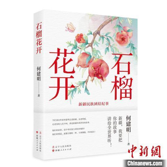 何建明:如何讲好"石榴花开"的故事?