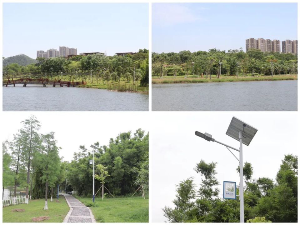 绿树,流水今年1月,鹤山工业城(共和镇)投入1000万元对共和生态公园