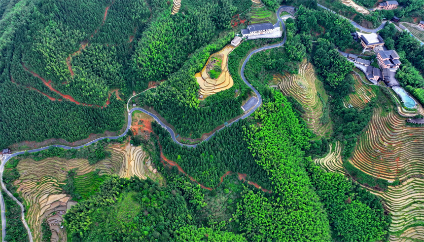 赣州市崇义县上堡乡,层层叠叠的梯田与森林,民宿,公路相互映衬,夏日