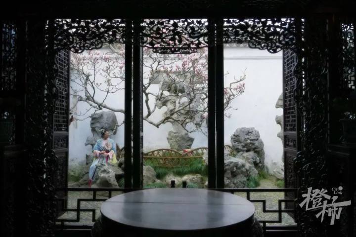 前景,半放的玉兰下有美人斜坐,哪怕是摆拍,依然交织出一幅绮丽的画卷