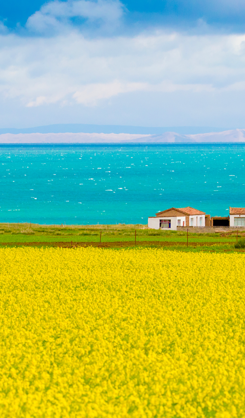 大美青海!为建设生态文明高地挺膺担当的青春力量点赞