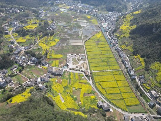 经验交流 | 当1000多天浓缩成7个"一",这里发生了神奇的变化