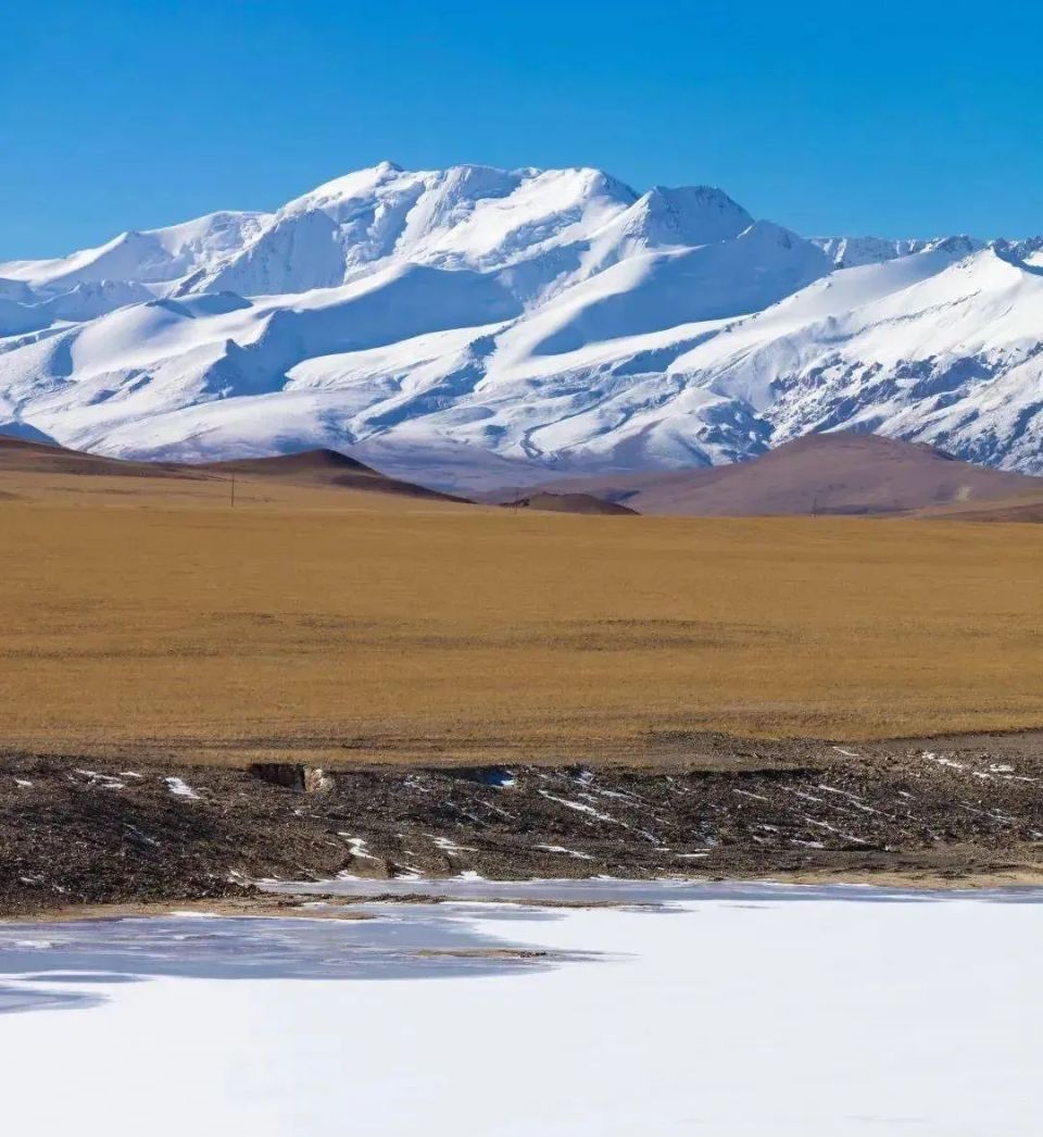 丹巴旺久界碑2860附近有一处大地之树,流水冲刷出枝叶的肌理.