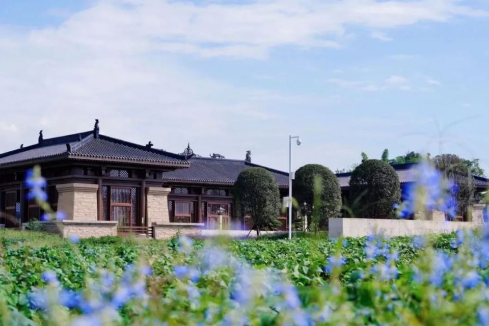 全国500强,双流这个镇上榜!