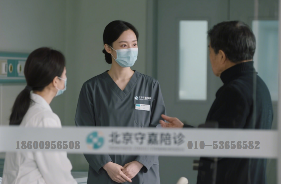 东直门医院全天陪诊含挂号合规加急协调的简单介绍