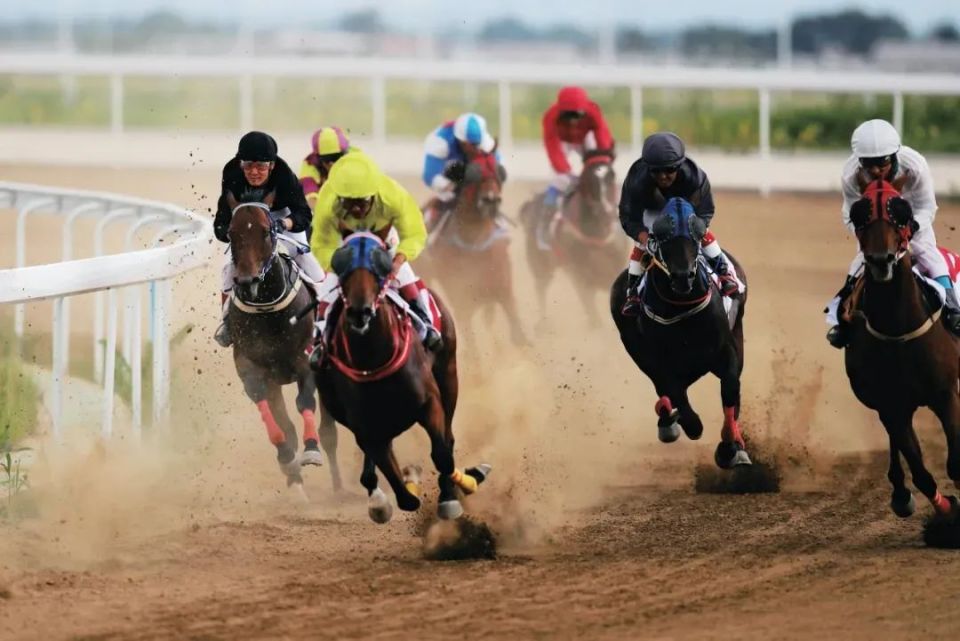 赛马,跑马射箭……"马上"开赛,项项精彩!