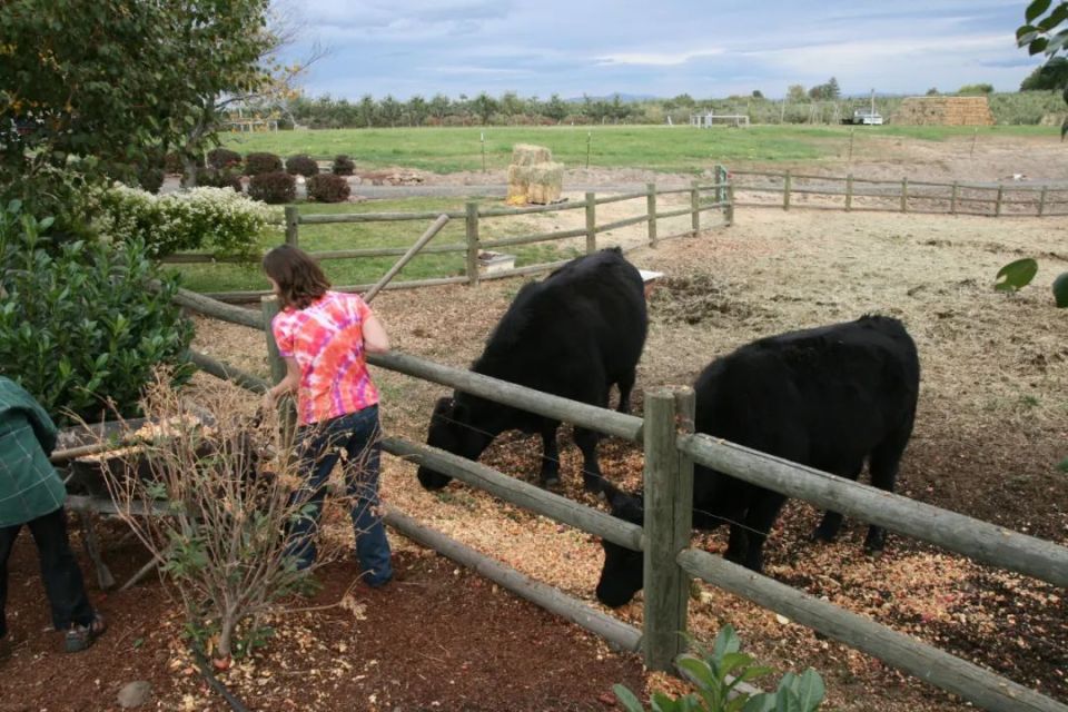 美国:农场主的生活