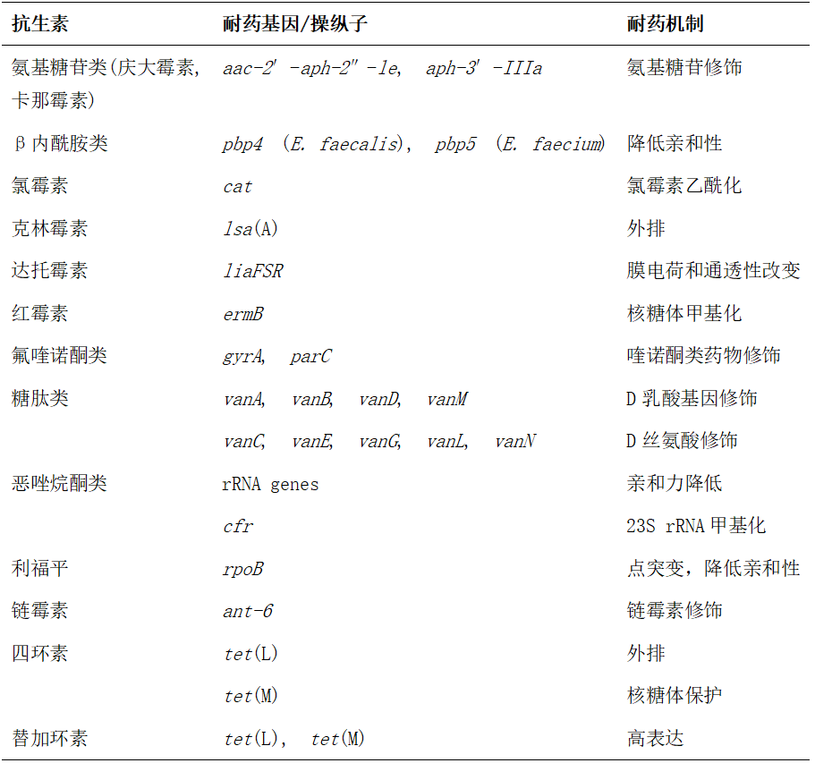 利奈唑胺对屎肠球菌图片