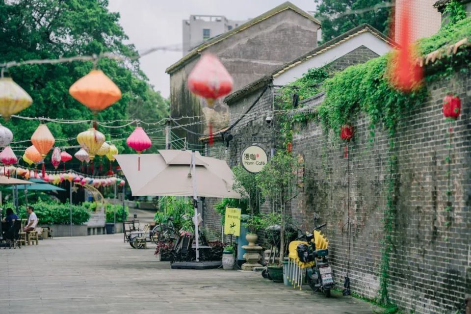 "四小园"飘出咖啡香!狮山百年古村吸引青年返乡创业