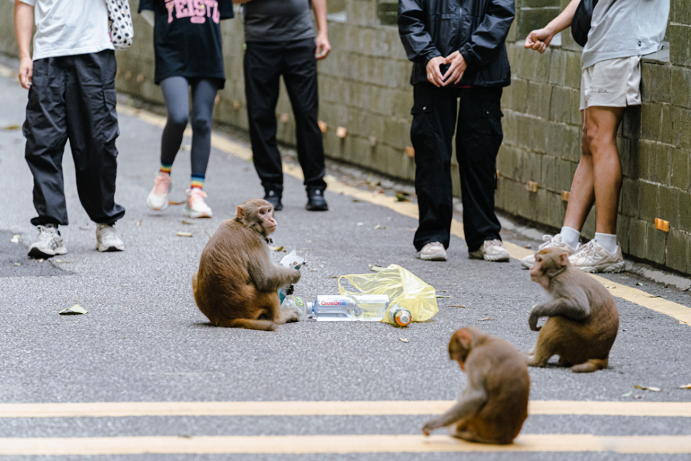 全线共设深圳西丽(深江铁路建设项目不含西丽站),深圳机场东,东莞滨