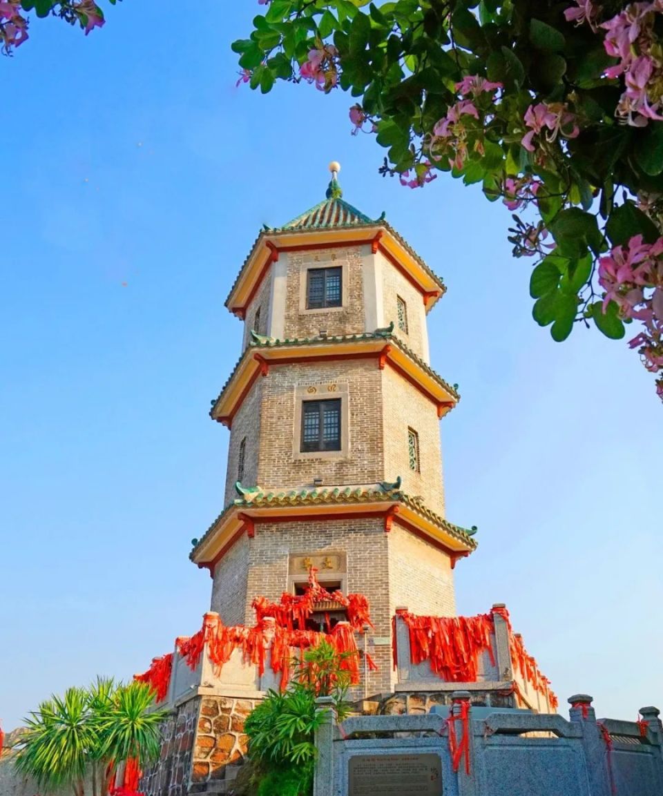 番禺"粽"多玩法乐不停