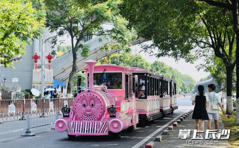 橘子洲上新粉红色小火车