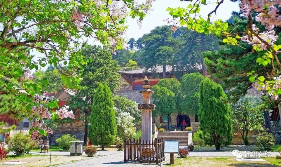 5·18直播|讲述佛光寺的故事