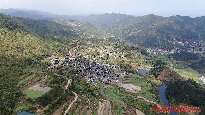 采收季中方县泸阳镇桥上村丰谷蓝莓基地中方县桐木镇丰坡村种粮大户