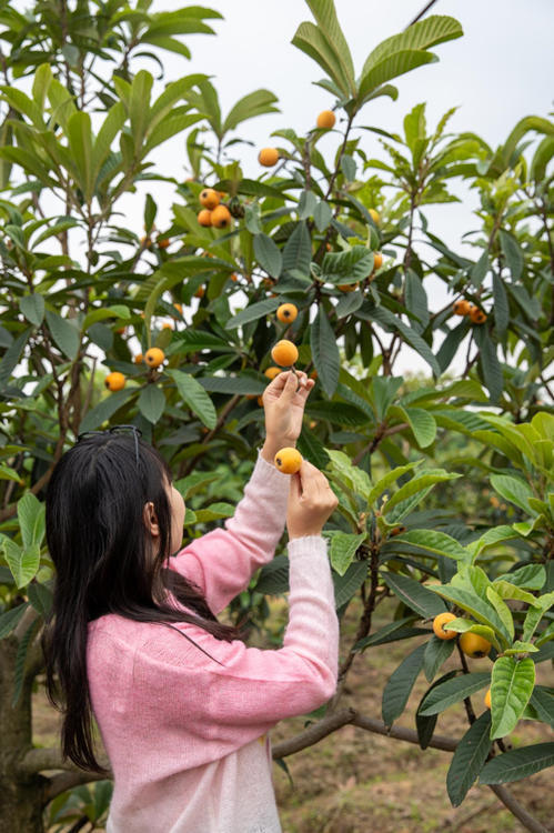 四川天府新区美好乡村生活节圆满落幕