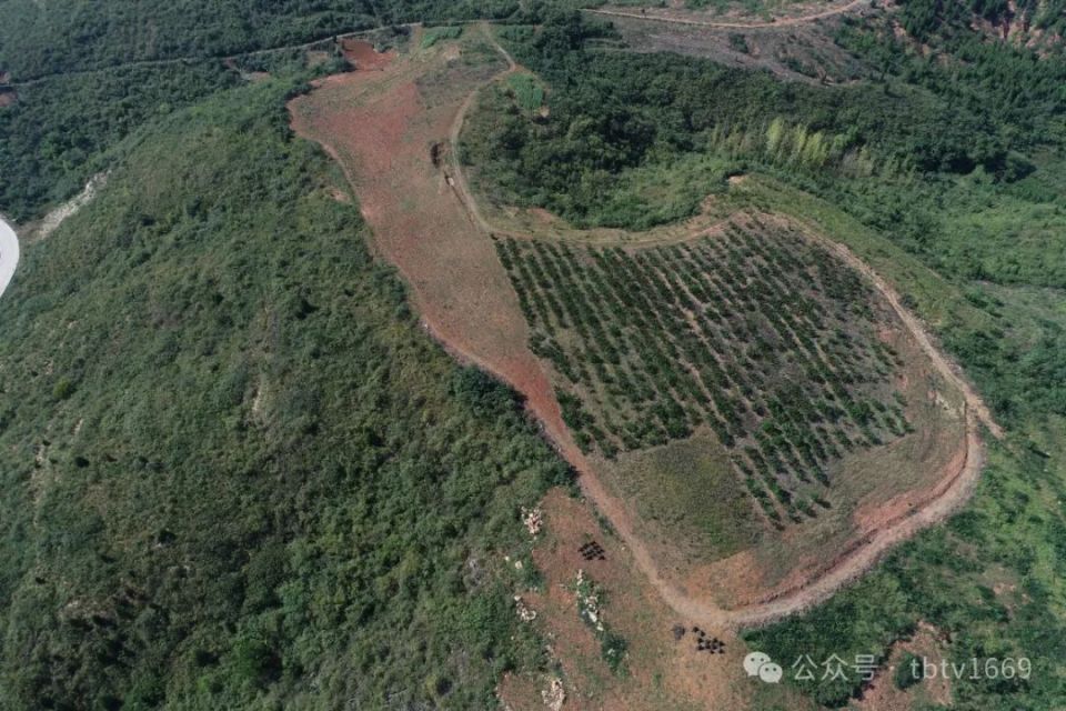 五虎寨 · 湖北丹江口市【寻访楚长城与古山寨资料汇集027】