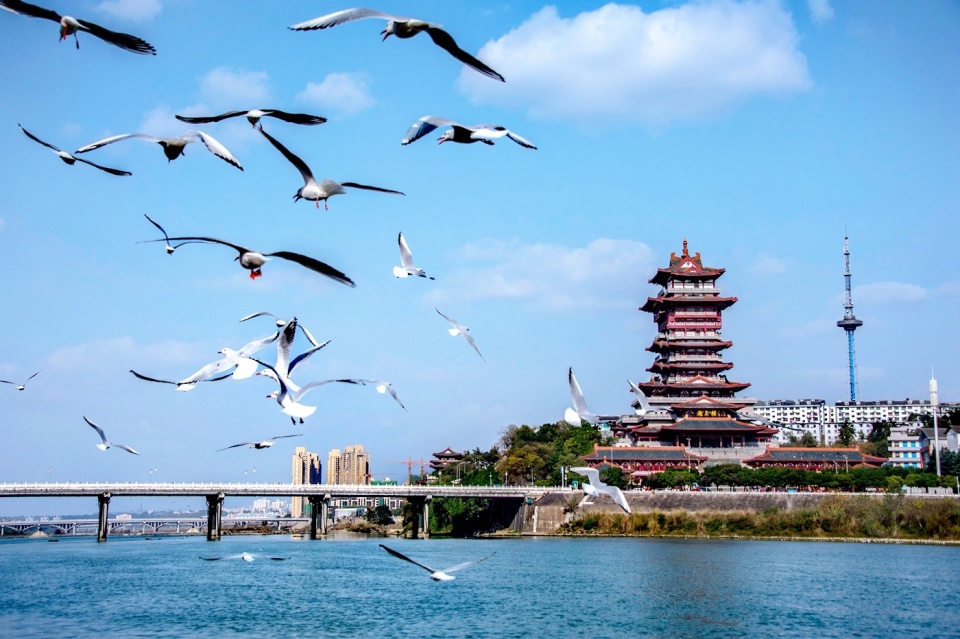 流量"变"留量",绵阳游仙春节文旅市场"热辣滚烫"_腾讯新闻