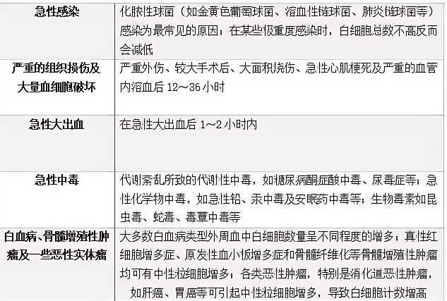 中性粒细胞你了解多少？_腾讯新闻