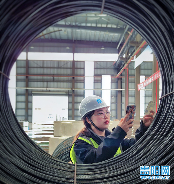 最美劳动者杨洪艳在奋斗中绽放青春风采