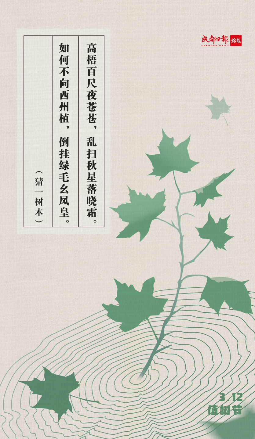 猜猜古诗词中的那些树