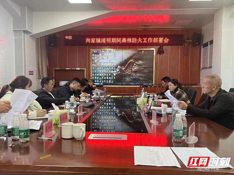 守好山,护好林,向家镇全面开展清明节前森林防火工作