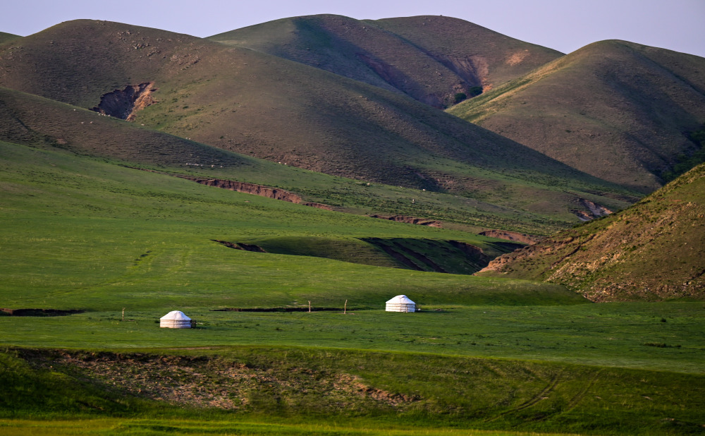 6月16日拍摄的阿鲁科尔沁旗巴彦温都尔苏木塔林花游牧区的毡房.