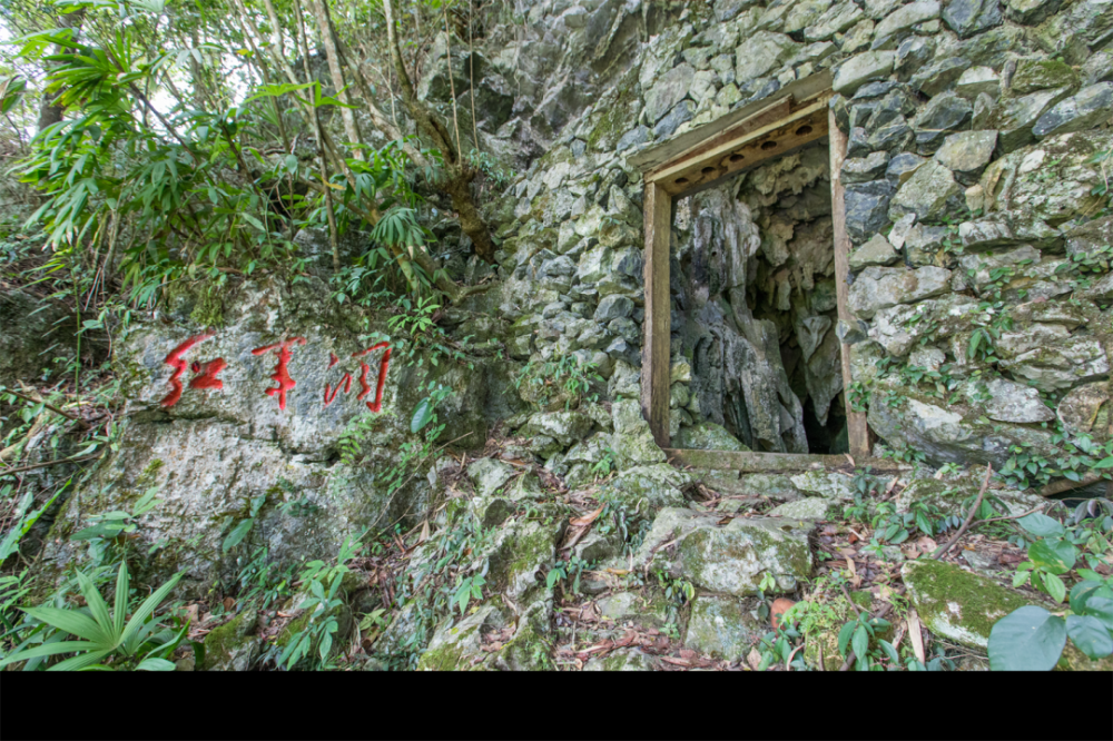 那能乡甘帮红军洞产业发展富宁种植八角已有300年历史,是全州,全省