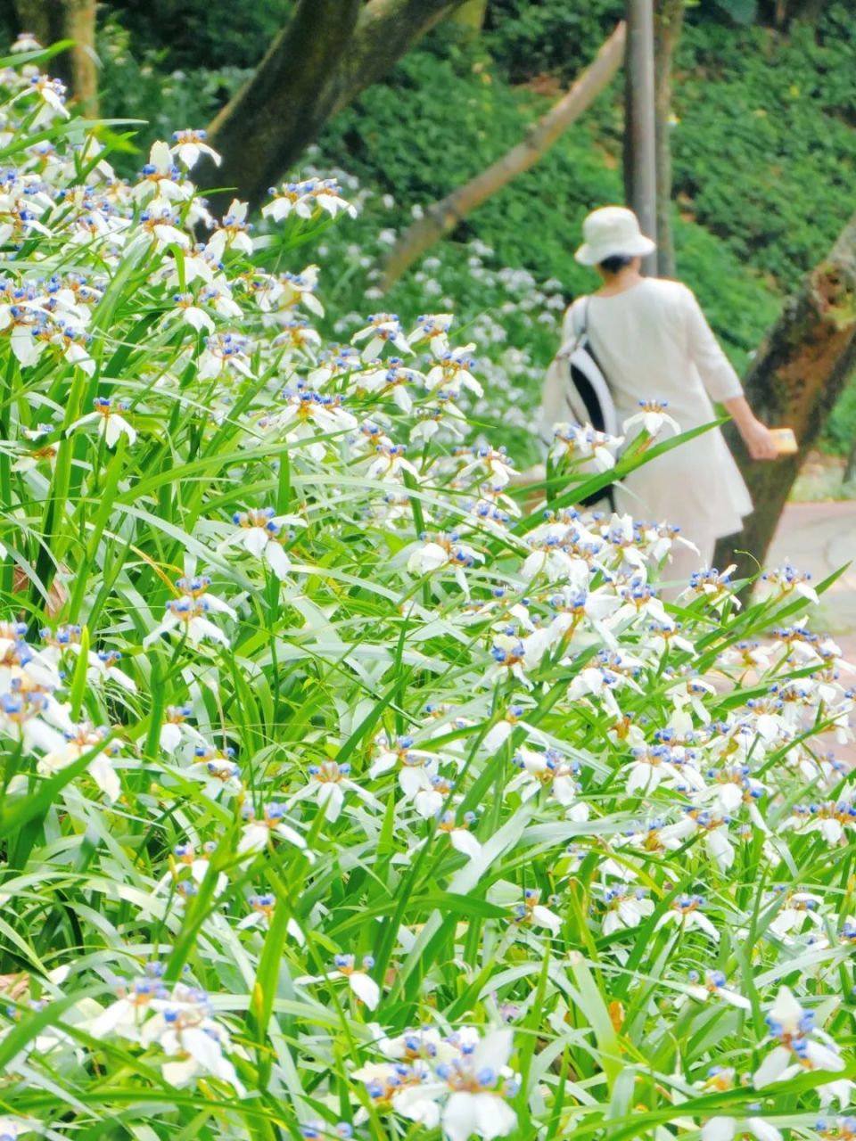 在越秀,20分钟公园效应是真的