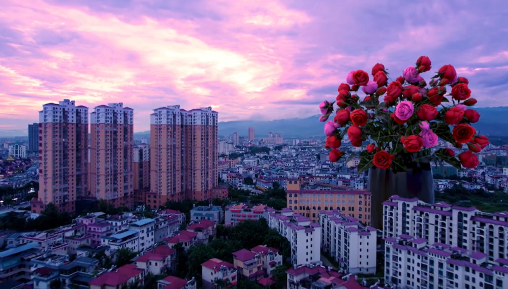 特效 ai带你体验吃菌中毒视角?记者专访当事人,他说:吃不得!_腾讯新闻