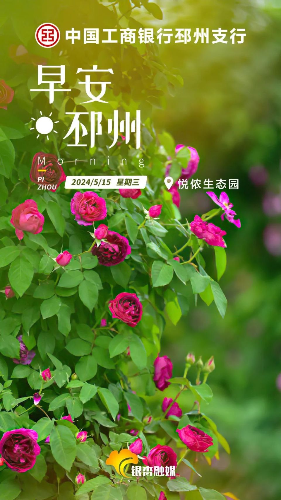 计划招聘,37000名|早安,邳州