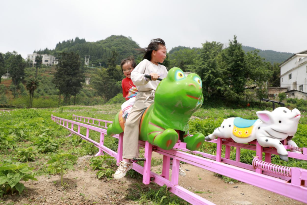 毕节这里有一个现实版qq农场