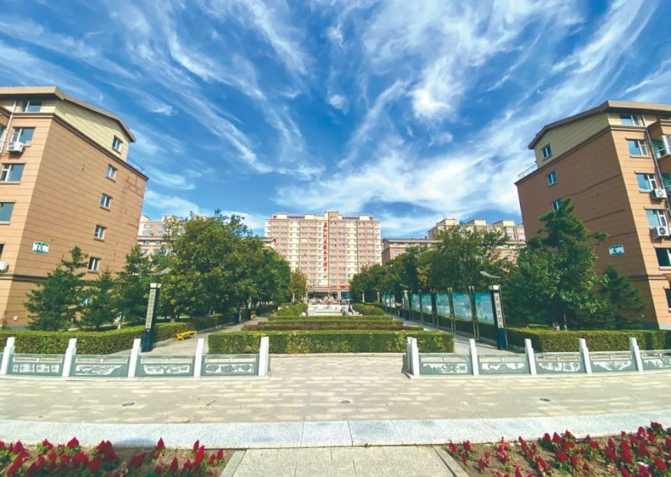 走进长春!120个网红打卡地之农安县合隆镇陈家店村