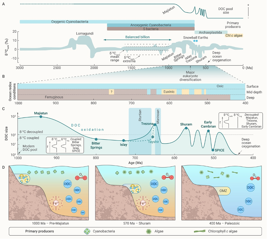 The Innovation Geoscience | 海洋重要碳库（溶解性有机碳库）演化史揭秘_腾讯新闻