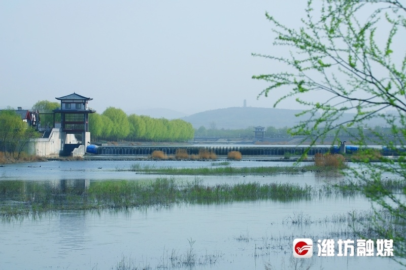 5公里,是国家3a级旅游景区,省级湿地公园.潍坊日报社潍坊融媒讯