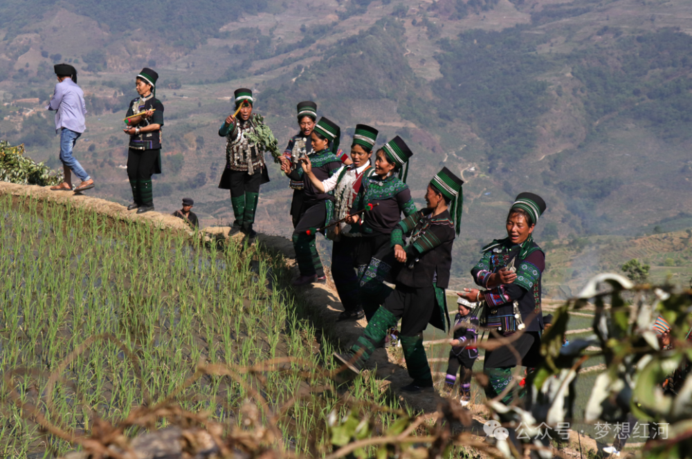 爱上非遗 | 哈尼族多声部梯田上的"交响乐"