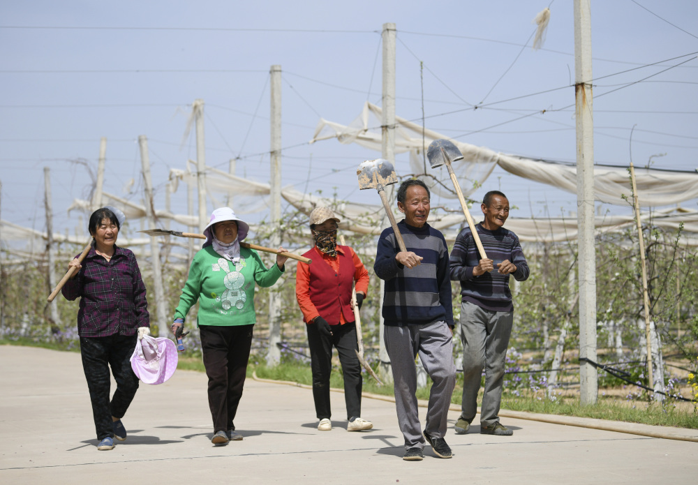赵永东与延安市安塞区果业技术服务中心工作人员庞涛交流农业防灾