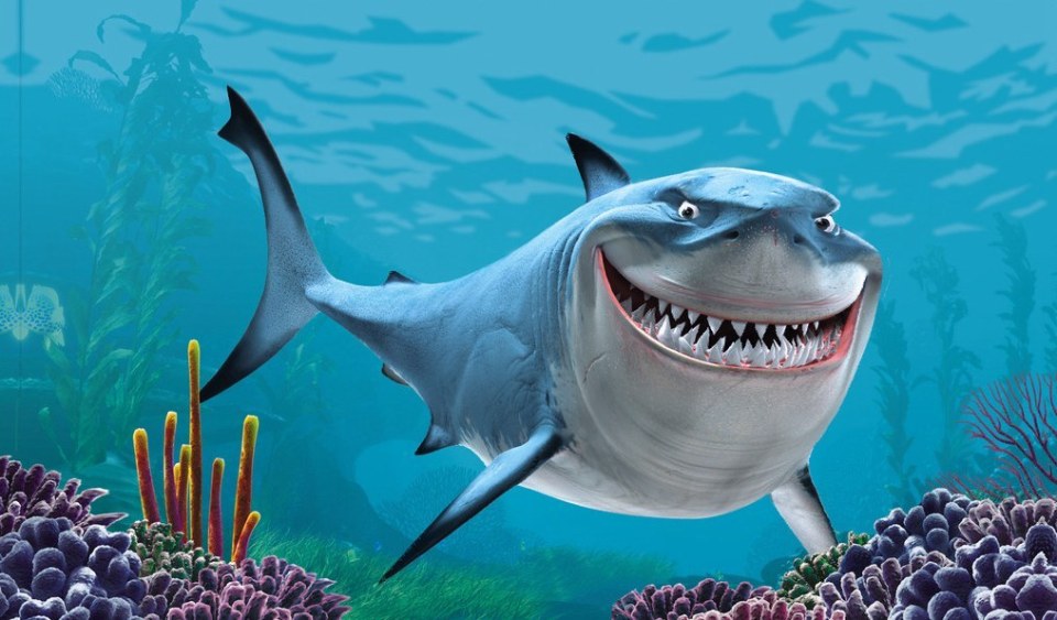 鲨鱼有多能"苟"?接连"通关"了好几次大灭绝