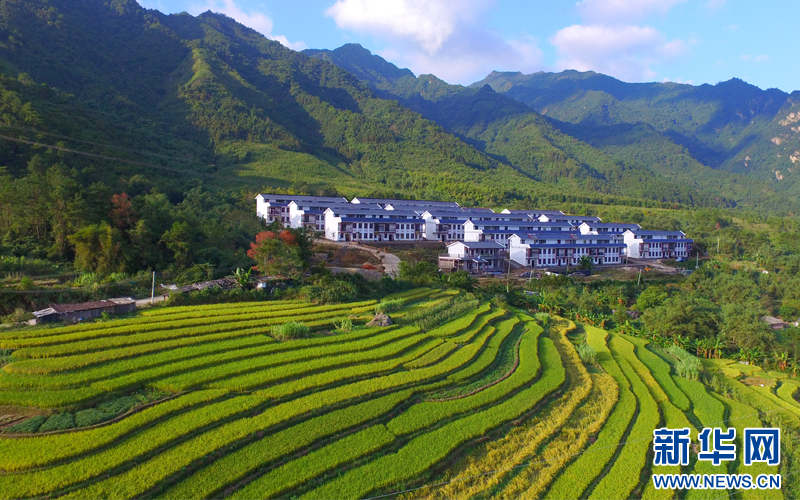 乡村振兴在行动广东乳源聚力百千万特色产业链就民族地区乡村振兴新