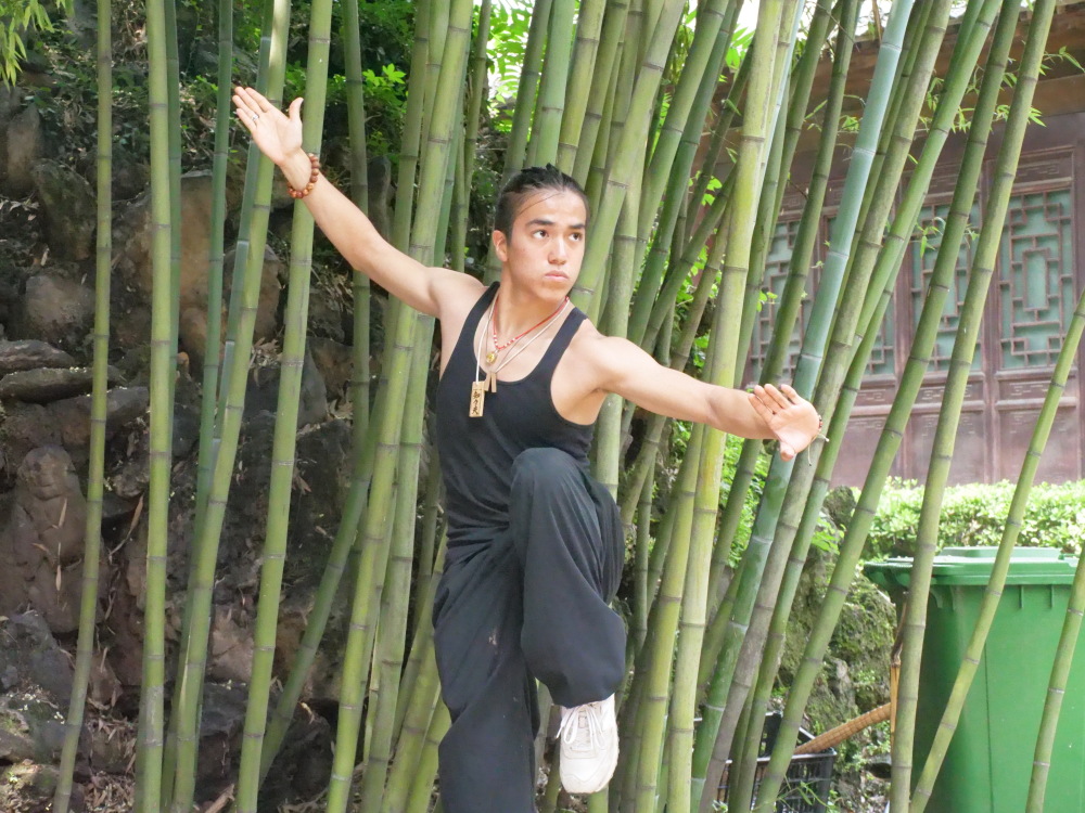 谁是"功夫之王"?124位"武林高手"齐聚少林