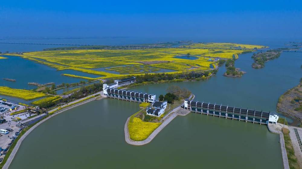 聚焦高宝邵伯湖 "湖韵渔风"等你来秀_腾讯新闻